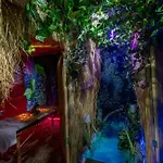 Litros & Hotel 4*